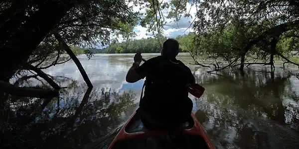 turistički vodič - U kanuu na Dravi